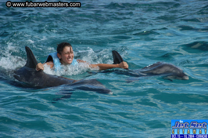 Sunday's Dolphin Swim Adventure and Animal Encounter 2004