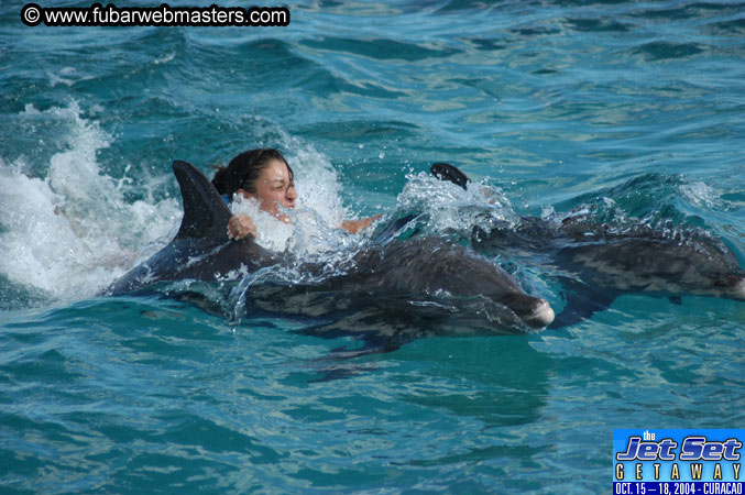 Sunday's Dolphin Swim Adventure and Animal Encounter 2004