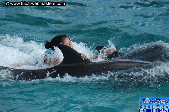 Sunday's Dolphin Swim Adventure and Animal Encounter 2004