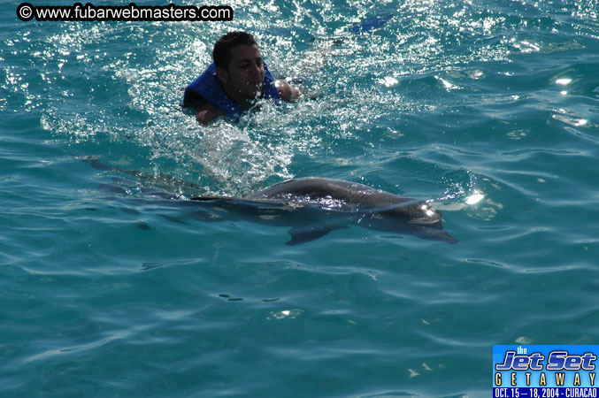 Sunday's Dolphin Swim Adventure and Animal Encounter 2004