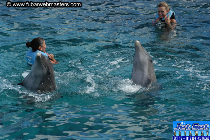 Sunday's Dolphin Swim Adventure and Animal Encounter 2004