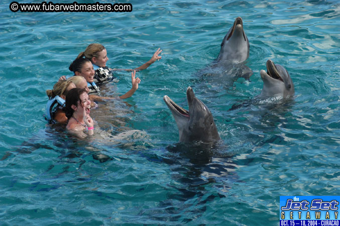 Sunday's Dolphin Swim Adventure and Animal Encounter 2004