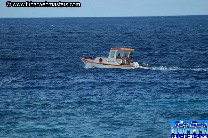 Sunday's Dolphin Swim Adventure and Animal Encounter 2004