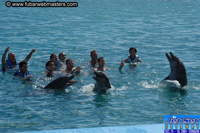 Sunday's Dolphin Swim Adventure and Animal Encounter 2004