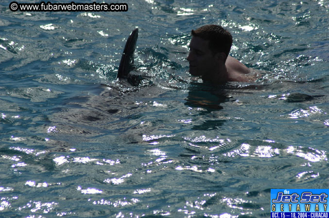 Sunday's Dolphin Swim Adventure and Animal Encounter 2004
