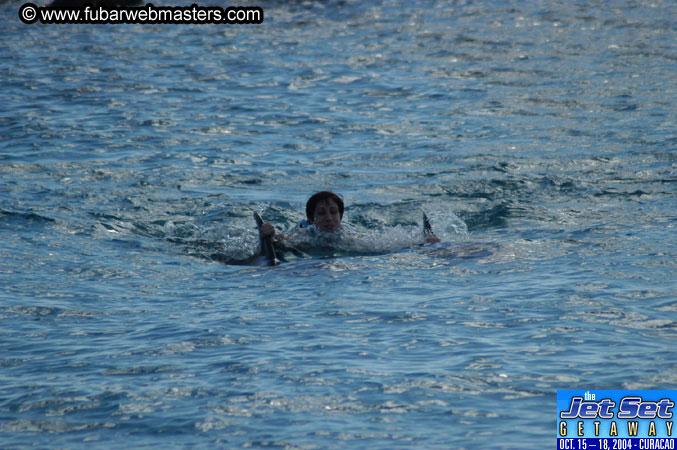 Sunday's Dolphin Swim Adventure and Animal Encounter 2004