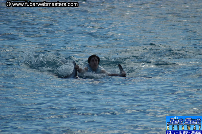 Sunday's Dolphin Swim Adventure and Animal Encounter 2004