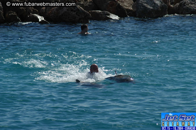 Sunday's Dolphin Swim Adventure and Animal Encounter 2004