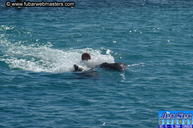 Sunday's Dolphin Swim Adventure and Animal Encounter 2004