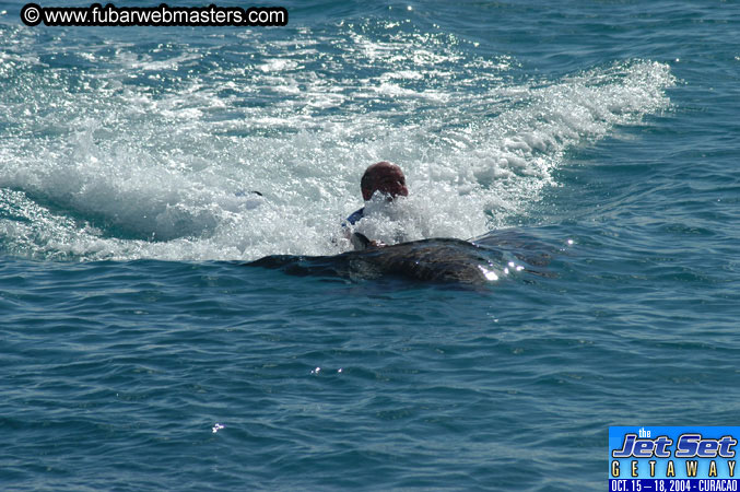 Sunday's Dolphin Swim Adventure and Animal Encounter 2004
