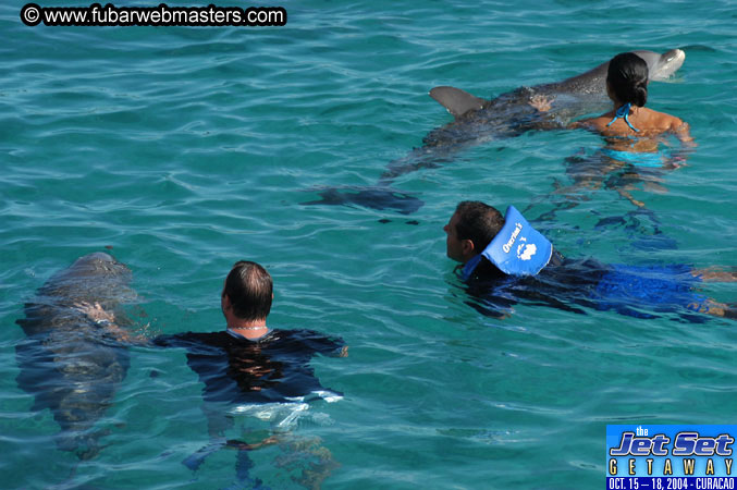 Sunday's Dolphin Swim Adventure and Animal Encounter 2004