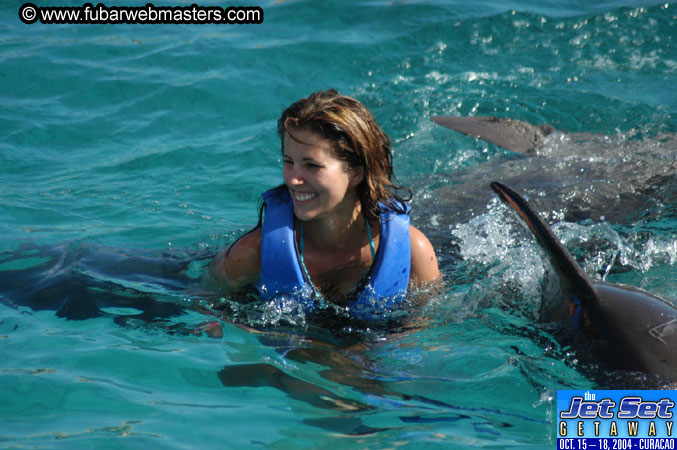 Sunday's Dolphin Swim Adventure and Animal Encounter 2004