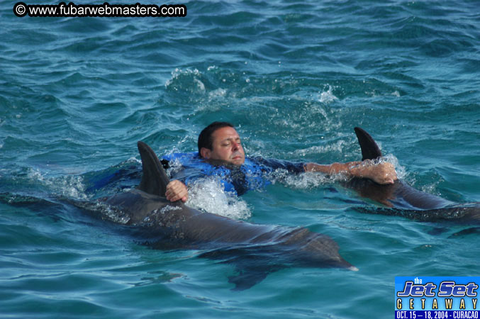 Sunday's Dolphin Swim Adventure and Animal Encounter 2004