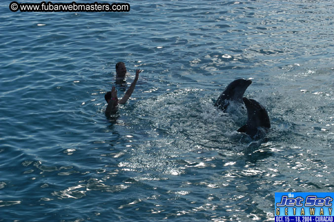 Sunday's Dolphin Swim Adventure and Animal Encounter 2004