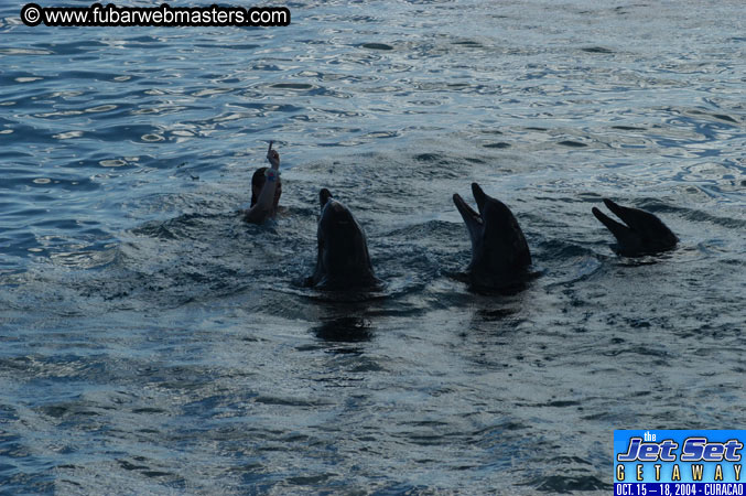 Sunday's Dolphin Swim Adventure and Animal Encounter 2004