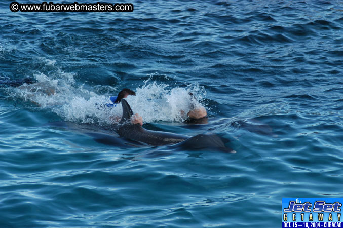 Sunday's Dolphin Swim Adventure and Animal Encounter 2004
