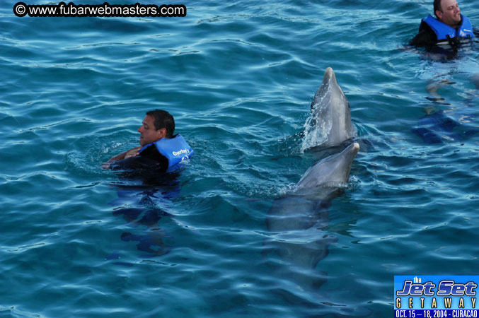 Sunday's Dolphin Swim Adventure and Animal Encounter 2004