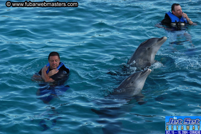 Sunday's Dolphin Swim Adventure and Animal Encounter 2004