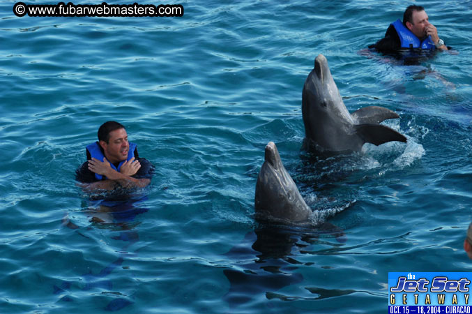 Sunday's Dolphin Swim Adventure and Animal Encounter 2004