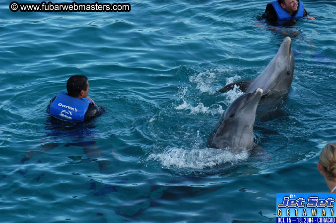 Sunday's Dolphin Swim Adventure and Animal Encounter 2004