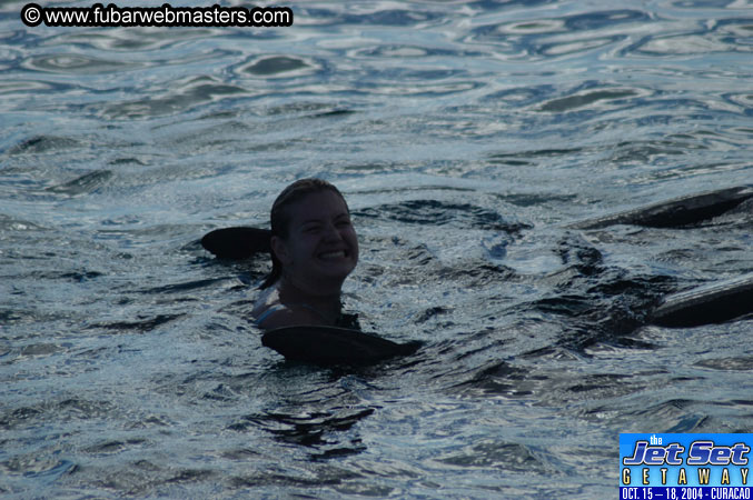 Sunday's Dolphin Swim Adventure and Animal Encounter 2004