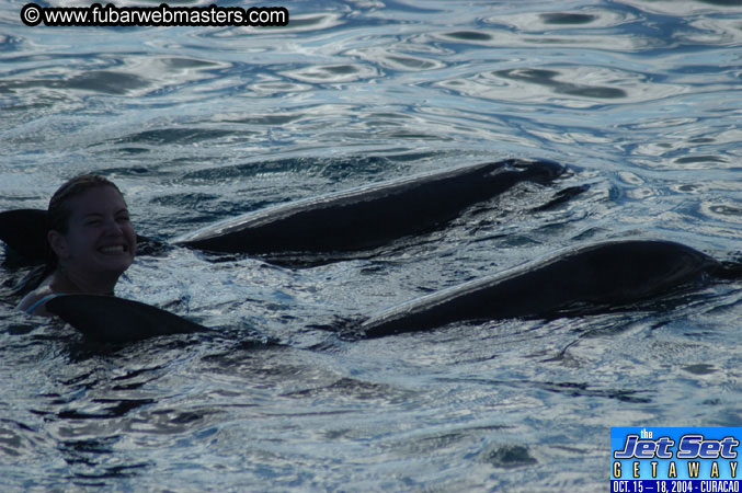 Sunday's Dolphin Swim Adventure and Animal Encounter 2004