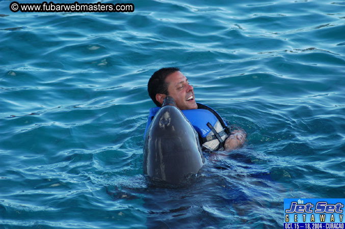 Sunday's Dolphin Swim Adventure and Animal Encounter 2004