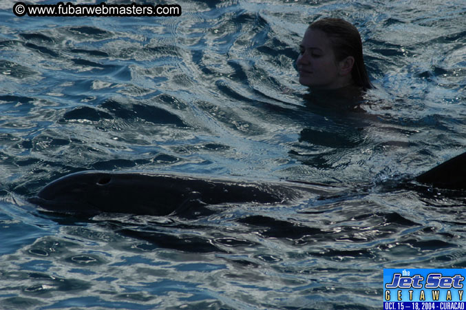 Sunday's Dolphin Swim Adventure and Animal Encounter 2004