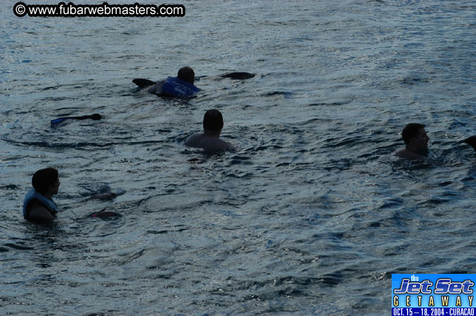 Sunday's Dolphin Swim Adventure and Animal Encounter 2004