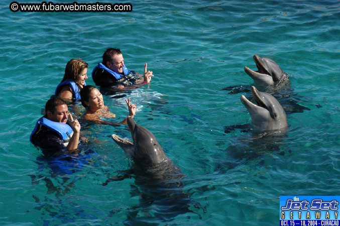 Sunday's Dolphin Swim Adventure and Animal Encounter 2004