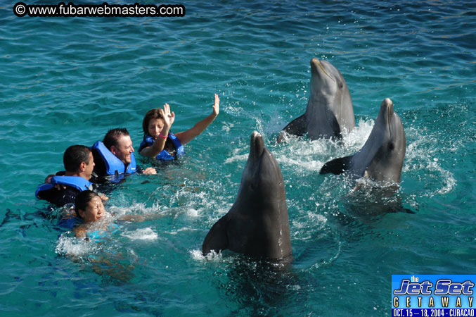 Sunday's Dolphin Swim Adventure and Animal Encounter 2004
