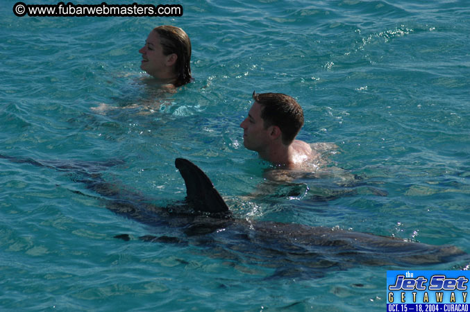 Sunday's Dolphin Swim Adventure and Animal Encounter 2004