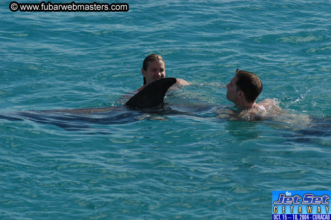 Sunday's Dolphin Swim Adventure and Animal Encounter 2004
