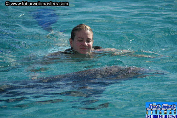Sunday's Dolphin Swim Adventure and Animal Encounter 2004