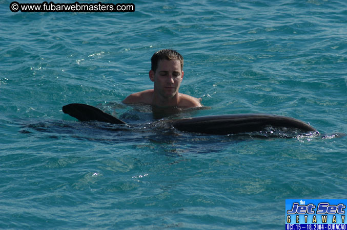 Sunday's Dolphin Swim Adventure and Animal Encounter 2004