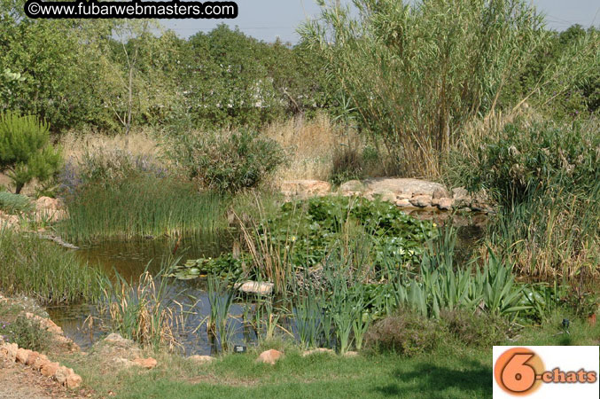 Private Farewell Pool Party 2005