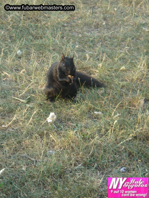 Copulation Conference 2005