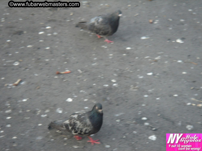 Copulation Conference 2005