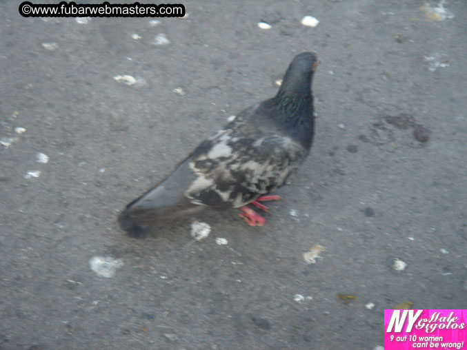 Copulation Conference 2005