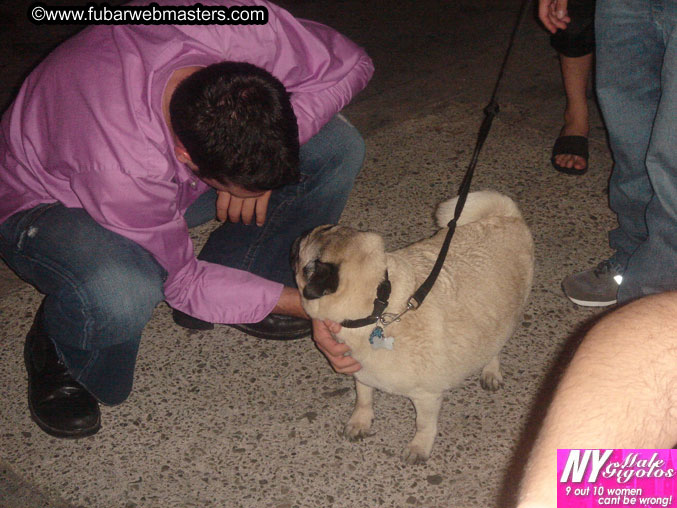 Copulation Conference 2005