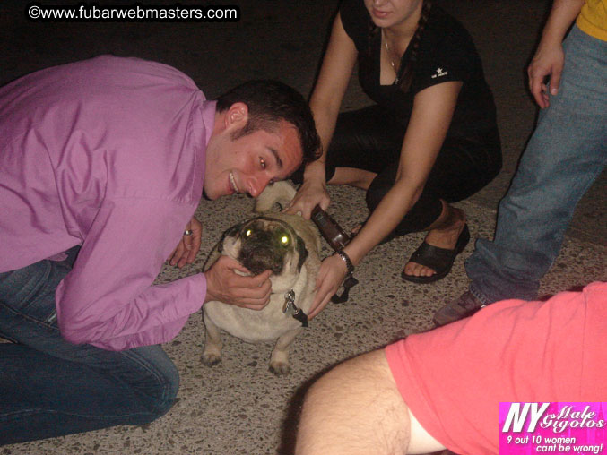 Copulation Conference 2005