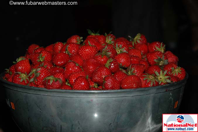 Sin Cineac Party 2005