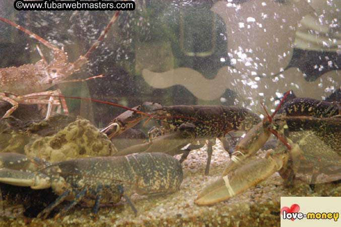 Tuesday, November 9, 2004 2004