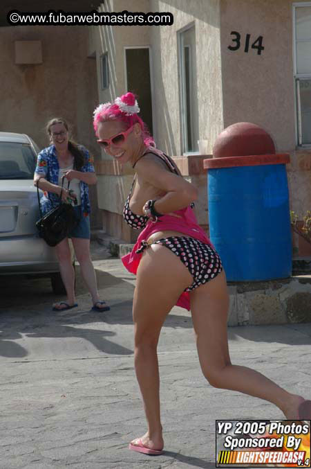 Saturday Afternoon Sex Show 2005