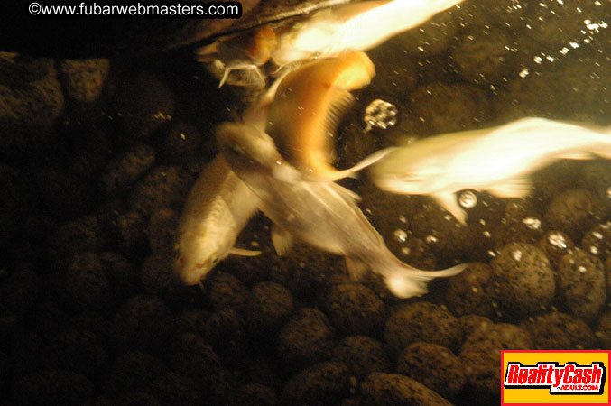 Dinner @ Nirvana 2004