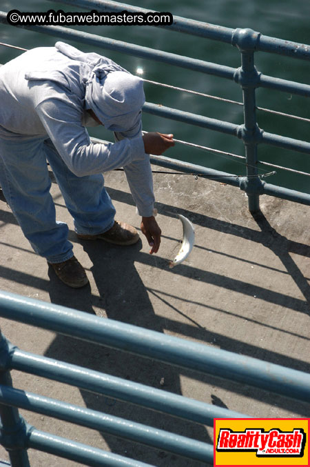 Santa Monica Beach & Pier 2004