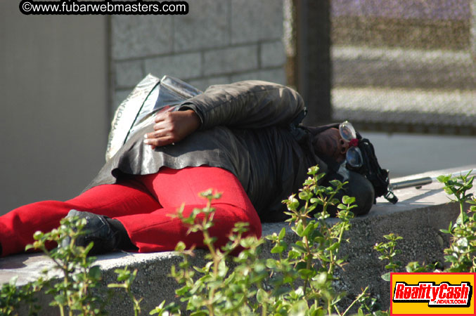 Santa Monica Beach & Pier 2004