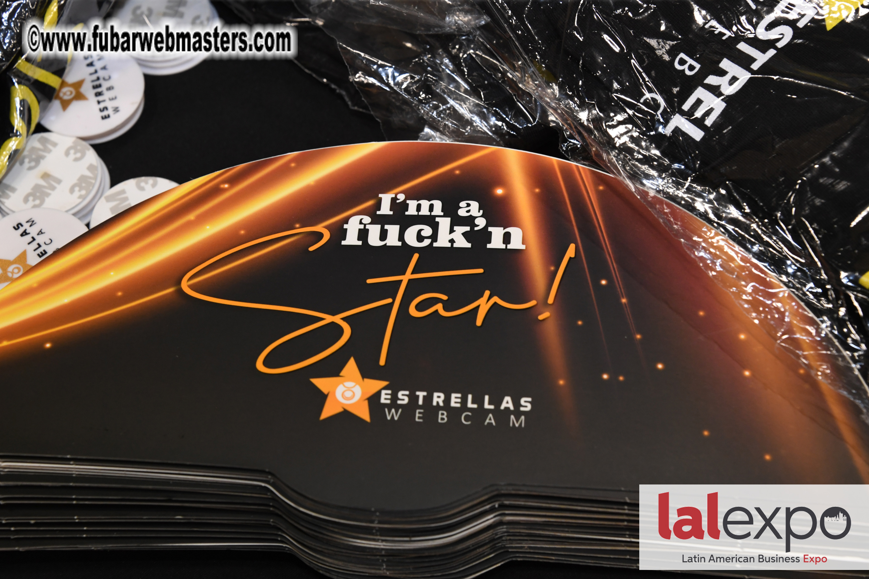 Industry and Models Meet Market