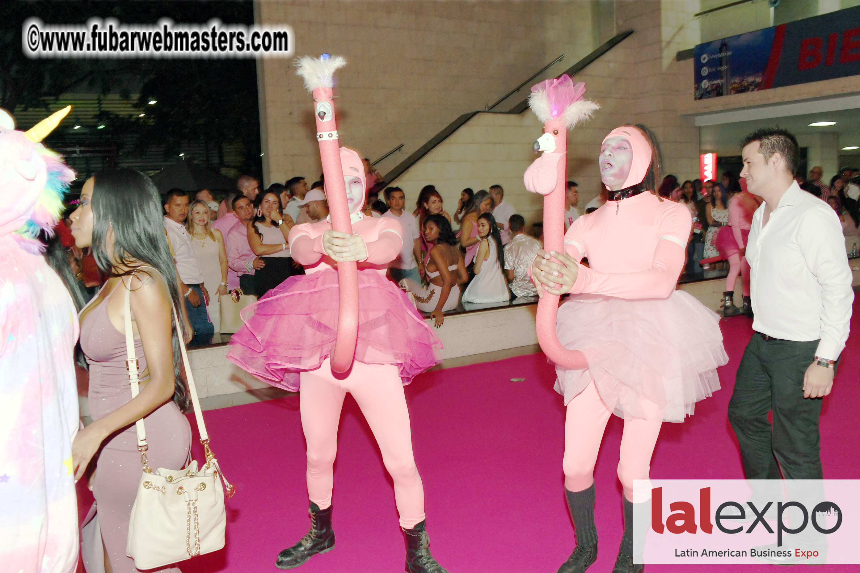 Bongacams Pink Paradise Party