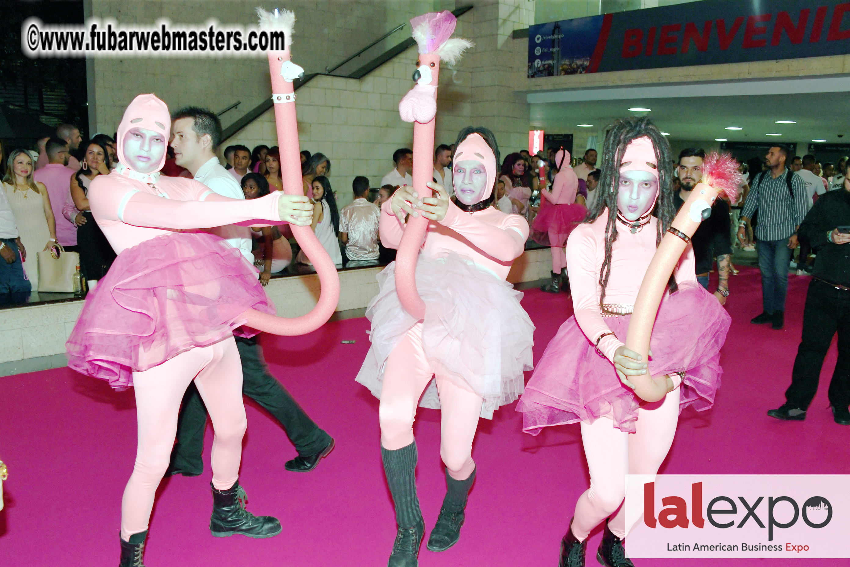 Bongacams Pink Paradise Party